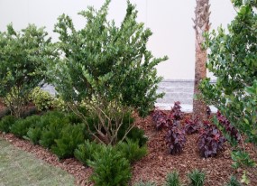 Landscaping Lakeland FL